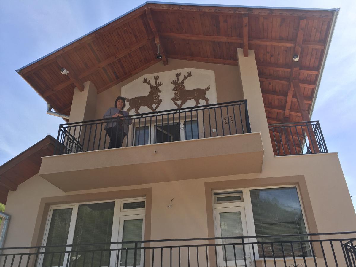 Elenite Guesthouse Gotse Delchev Exterior photo