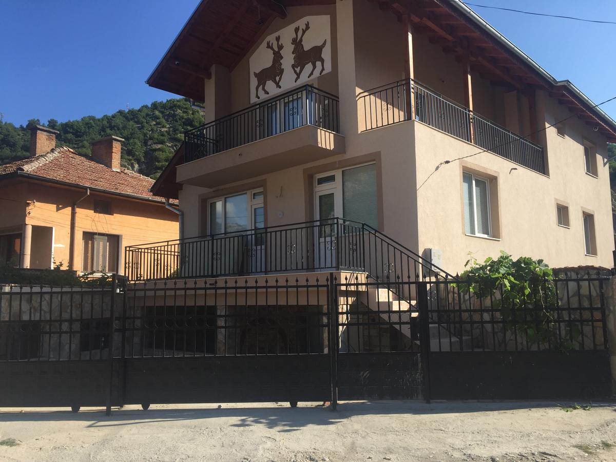 Elenite Guesthouse Gotse Delchev Exterior photo
